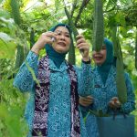 Ketua TP PKK Sumsel Feby Deru Dorong Kebun Wisata dan Desa Percontohan