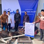 BRI Region 4 Palembang Distribusikan 45 Hewan Kurban