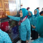 Feby Herman Deru Monitoring 10 Program Pokok PKK di Muratara, Resmikan Galeri UMKM dan Tinjau Stand UP2K