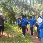 106 Pekebun Sawit Muara Enim Didorong Tingkatkan Produktivitas melalui Pelatihan Budidaya Kelapa Sawit