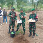 Penanaman 1.000 Pohon Warnai Rangkaian Pembukaan TMMD ke-129 Kodim 0608/Cianjur