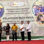 Produktivitas Sawit OKU Masih Terbuka, Pekebun Didorong Kembangkan Tumpang Sari