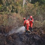 Hotspot Sumsel Menurun, Satgas Darat Tetap Diperkuat