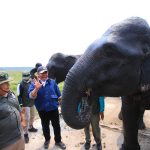 Gubernur Herman Deru Tinjau langsung Penanganan Karhutla di Habitat Gajah