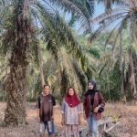 Menyusuri Perkebunan Sawit dan Karet, Mantri BRI Menjaga Akses Keuangan di Sumsel