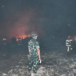 Danrem 044/Gapo Turun Langsung Pantau Pemadaman Karhutla